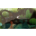 Switch Bayonetta Origins:Cereza and the Lost Demon - 1111308 - zdjęcie 5